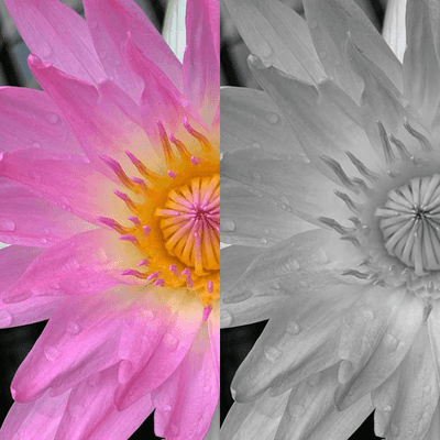 Image output for example 1