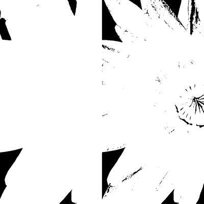 Image output for example 2